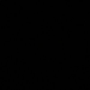 Meet your Posher, Shea